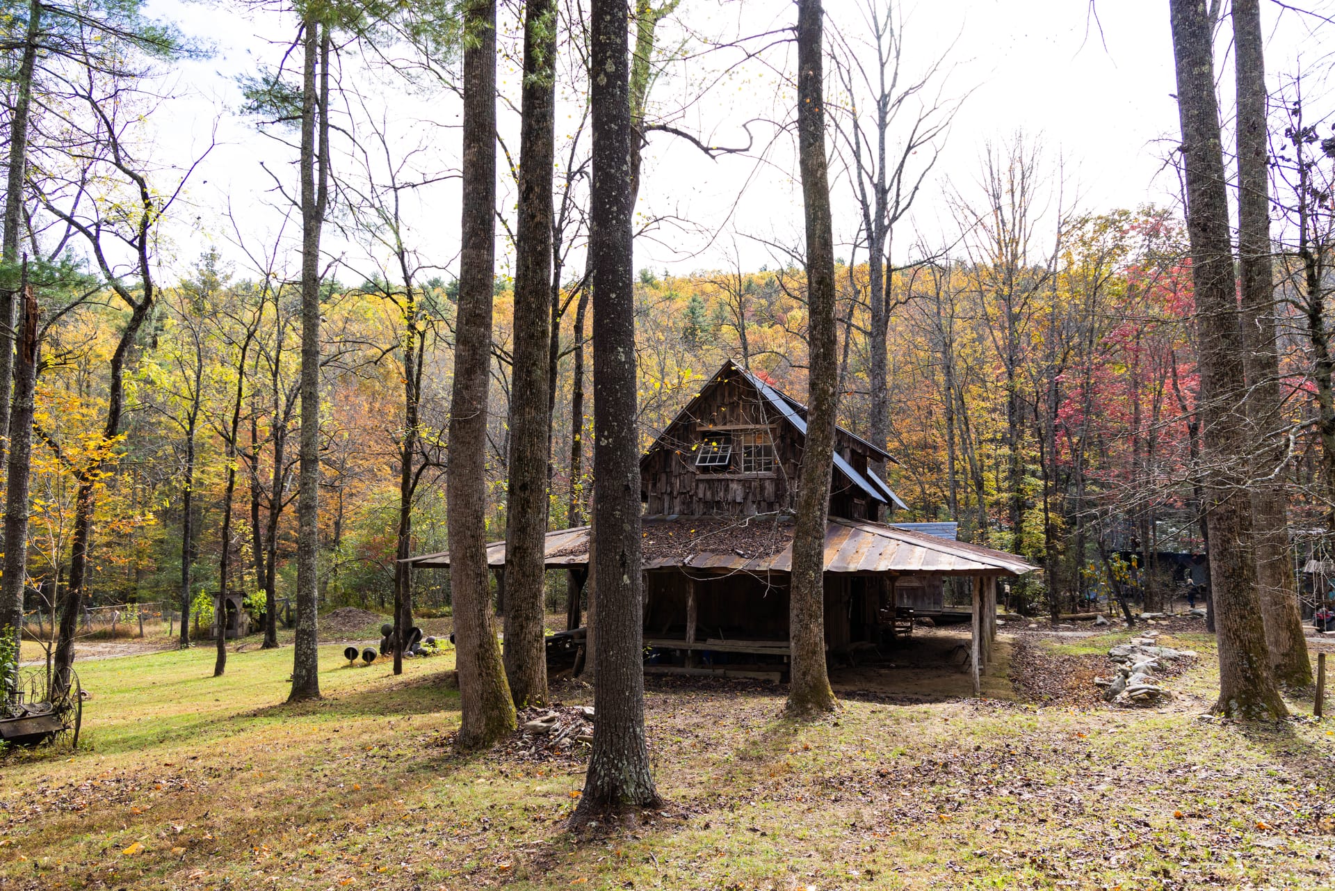 Turtle Island Nature Preserve